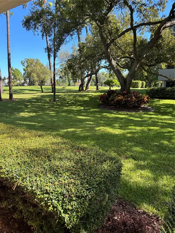36750 US HIGHWAY 19 #25-104, Palm Harbor, FL 34683