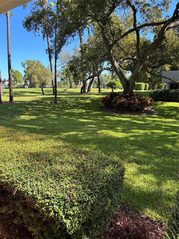 36750 US HIGHWAY 19 #25-104, Palm Harbor, FL, 34683 photo 4