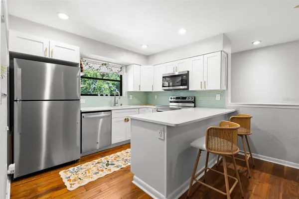 484 SANTA CRUZ PL NE #E, St Petersburg, FL 33703
