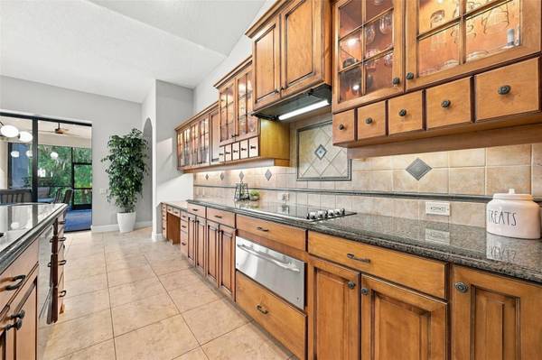 13551 CARNOUSTIE CIR, Dade City, FL, 33525 photo 19