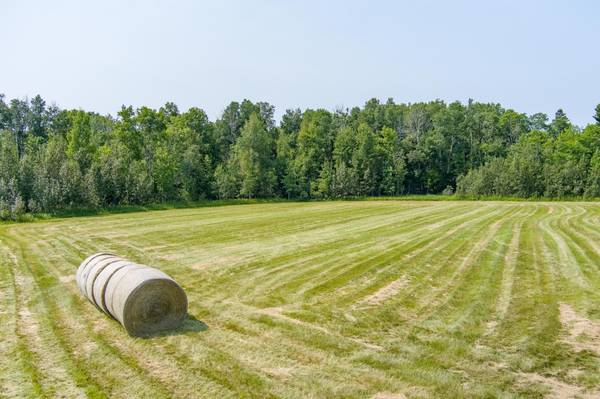 0 TBD COUNTY HWY, Meadowlands, MN 55765