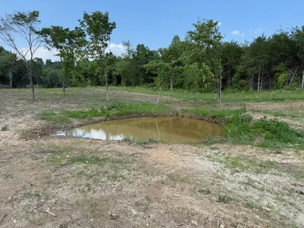 0 Roy Foster Rd, Mc Minnville, TN 37110
