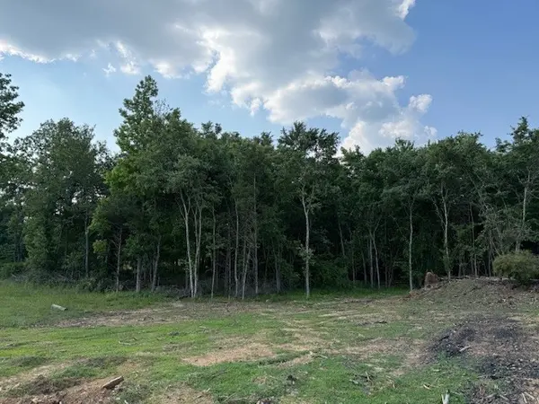 0 Roy Foster Rd, Mc Minnville, TN 37110