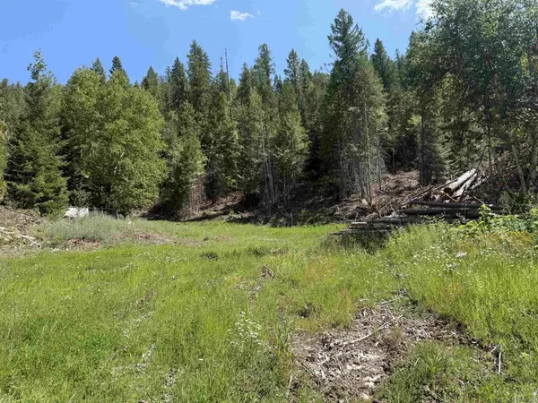 3516 Deep Lake Boundary Rd, Colville, WA 99114
