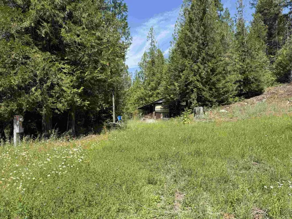 3516 Deep Lake Boundary Rd, Colville, WA 99114