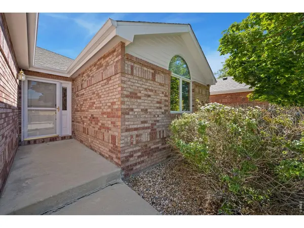 507 Trailwood, Windsor, CO 80550
