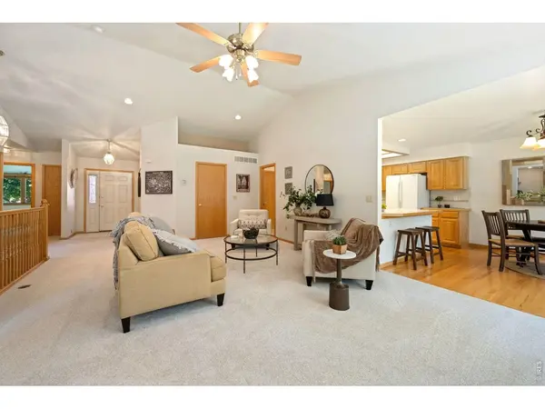 507 Trailwood, Windsor, CO 80550
