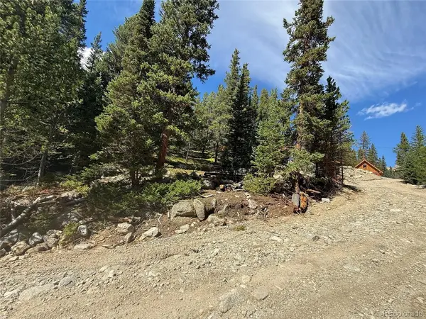 151 Lake, Idaho Springs, CO 80452