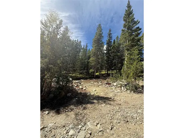 151 Lake, Idaho Springs, CO 80452
