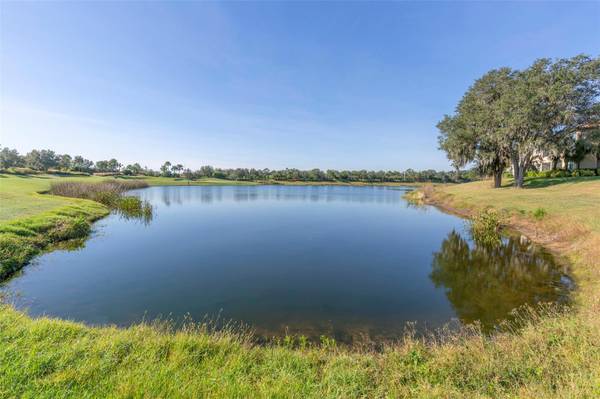 13816 MESSINA LOOP #203, Lakewood Ranch, FL, 34211 photo 27