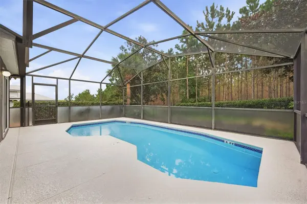 239 CHINA BERRY CIR, Davenport, FL 33837