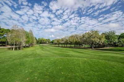 36750 US HIGHWAY 19 N #3131, Palm Harbor, FL, 34684 photo 72