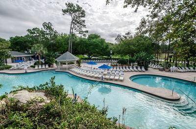 36750 US HIGHWAY 19 N #3131, Palm Harbor, FL, 34684 photo 54