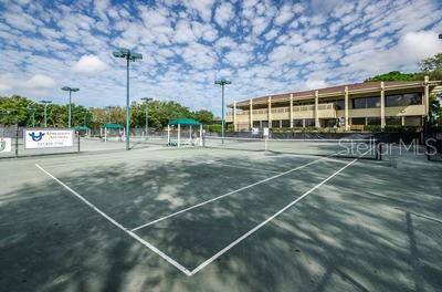 36750 US HIGHWAY 19 N #3131, Palm Harbor, FL, 34684 photo 71