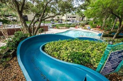 36750 US HIGHWAY 19 N #3131, Palm Harbor, FL, 34684 photo 55