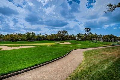36750 US HIGHWAY 19 N #3131, Palm Harbor, FL, 34684 photo 59