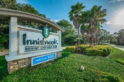 36750 US HIGHWAY 19 N #3131, Palm Harbor, FL, 34684 photo 46