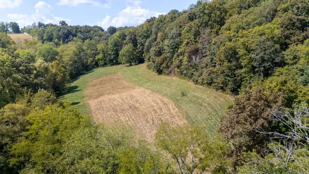 384 Big Spring Hollow, Pulaski, TN 38478