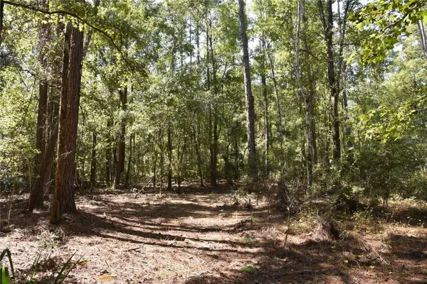 SE 24TH AVE, Hawthorne, FL 32640
