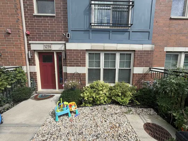 3239 S Stewart AVE, Chicago, IL 60616