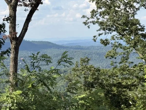 1995 Spurling Road, Sevierville, TN 37862