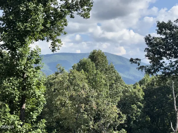 1995 Spurling Road, Sevierville, TN 37862