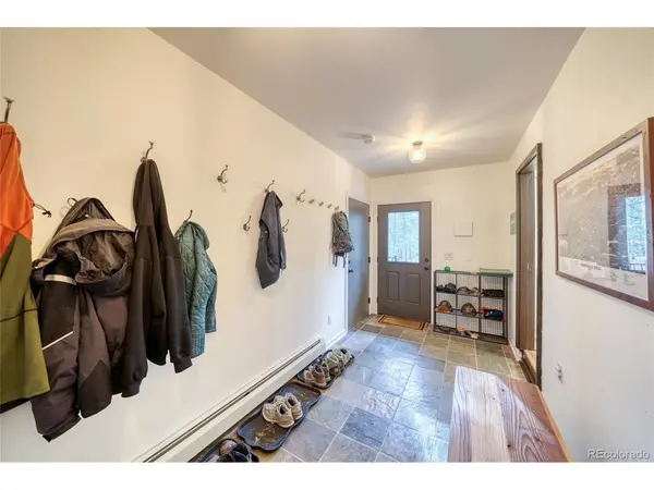 1871 Garnet, Leadville, CO 80461