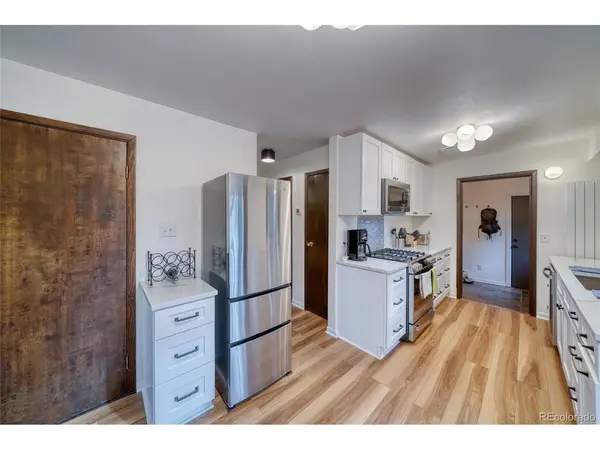 1871 Garnet, Leadville, CO 80461