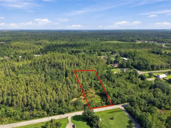 26633 PHEASANT RUN, Wesley Chapel, FL 33544