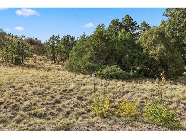 TBD Juniper, Red Feather Lakes, CO 80545