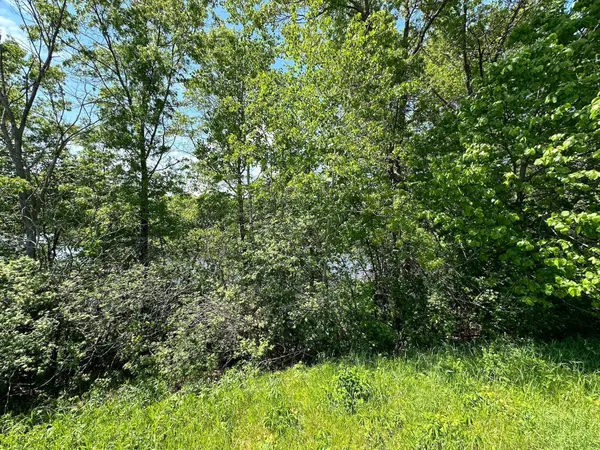 TBD 140th ST, Amery, WI 54001