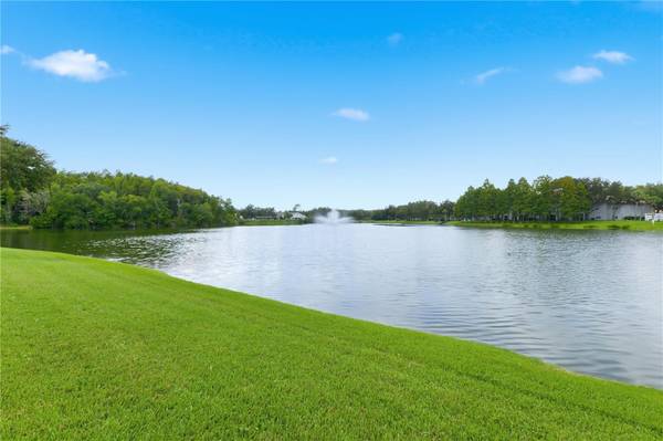 18112 LONGWATER RUN DR, Tampa, FL, 33647 photo 65