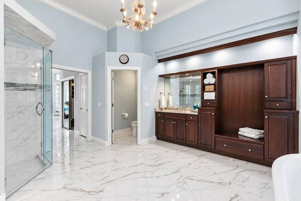 18112 LONGWATER RUN DR, Tampa, FL, 33647 photo 30