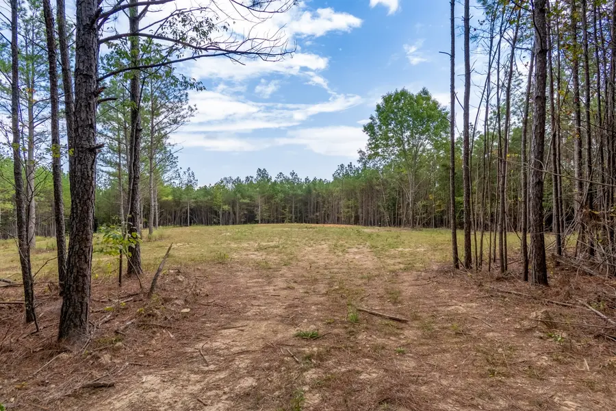 0 Old Mail Rd, Duck River, TN 38454