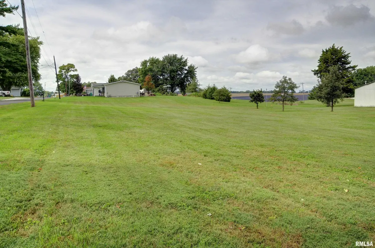 700 W ADAMS ST, Blandinsville, IL 61420