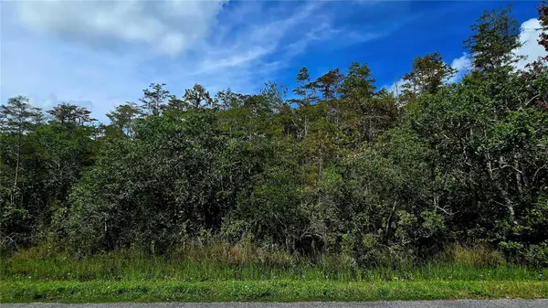 PIERRE AVE #Lot 162, St Cloud, FL 34773