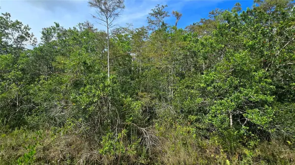 PIERRE AVE #Lot 162, St Cloud, FL 34773