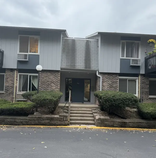 916 E Old Willow Rd RD #102, Prospect Heights, IL 60070