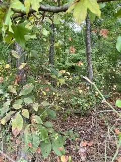 0 N Hummingbird Ln #N, Dickson, TN 37055