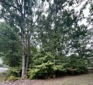 0 N Hummingbird Ln #N, Dickson, TN 37055