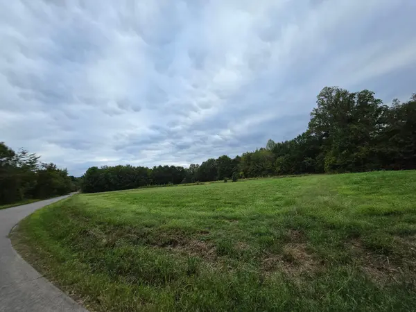 0 Wallace Rd, Waverly, TN 37185