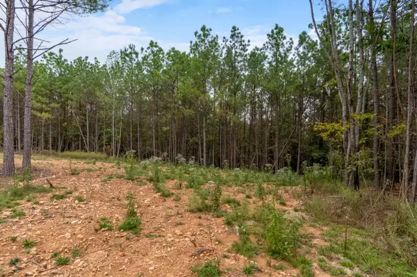 0 Old Mail Rd, Duck River, TN 38454