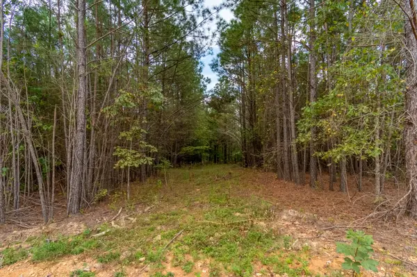 0 Old Mail Rd, Duck River, TN 38454