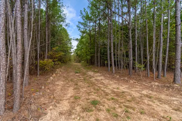 0 Old Mail Rd, Duck River, TN 38454