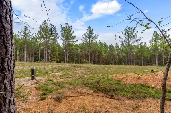 0 Old Mail Rd, Duck River, TN 38454