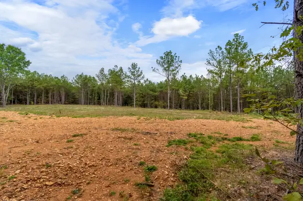 0 Old Mail Rd, Duck River, TN 38454
