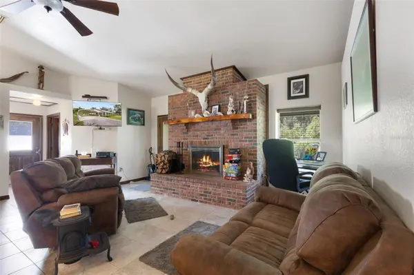 303 NE 290TH AVE, Old Town, FL 32680