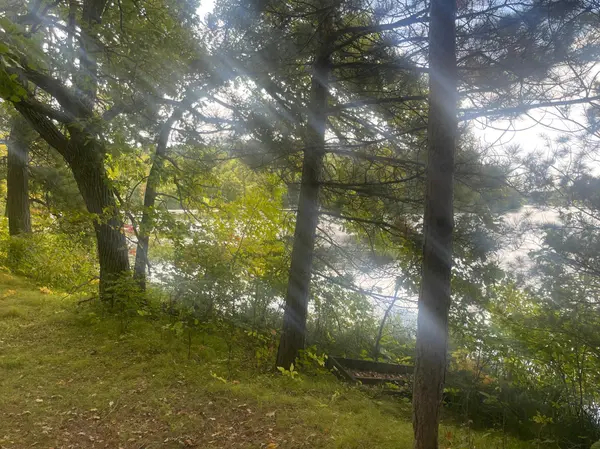 31531 N Oak ST, Pequot Lakes, MN 56472