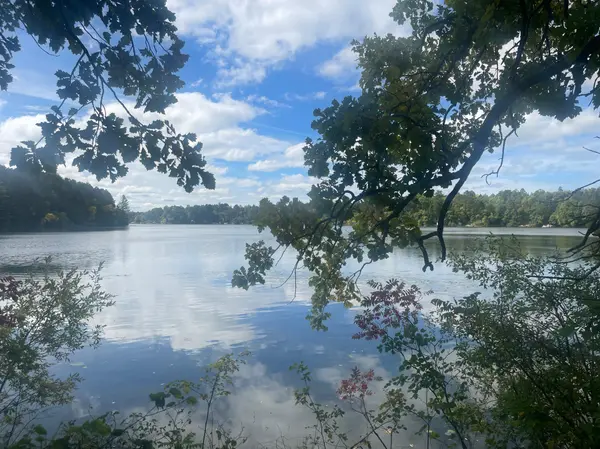 31531 N Oak ST, Pequot Lakes, MN 56472