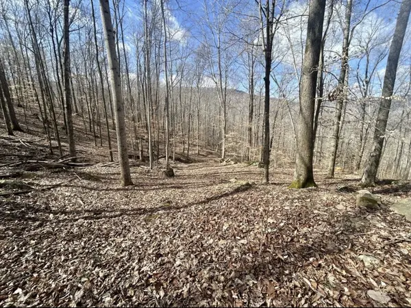10127 Rocky River Rd, Rock Island, TN 38581